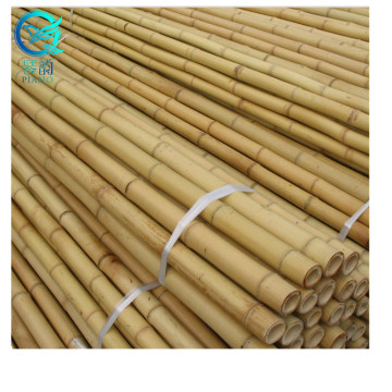 Canne de bambou en gros pour clôture